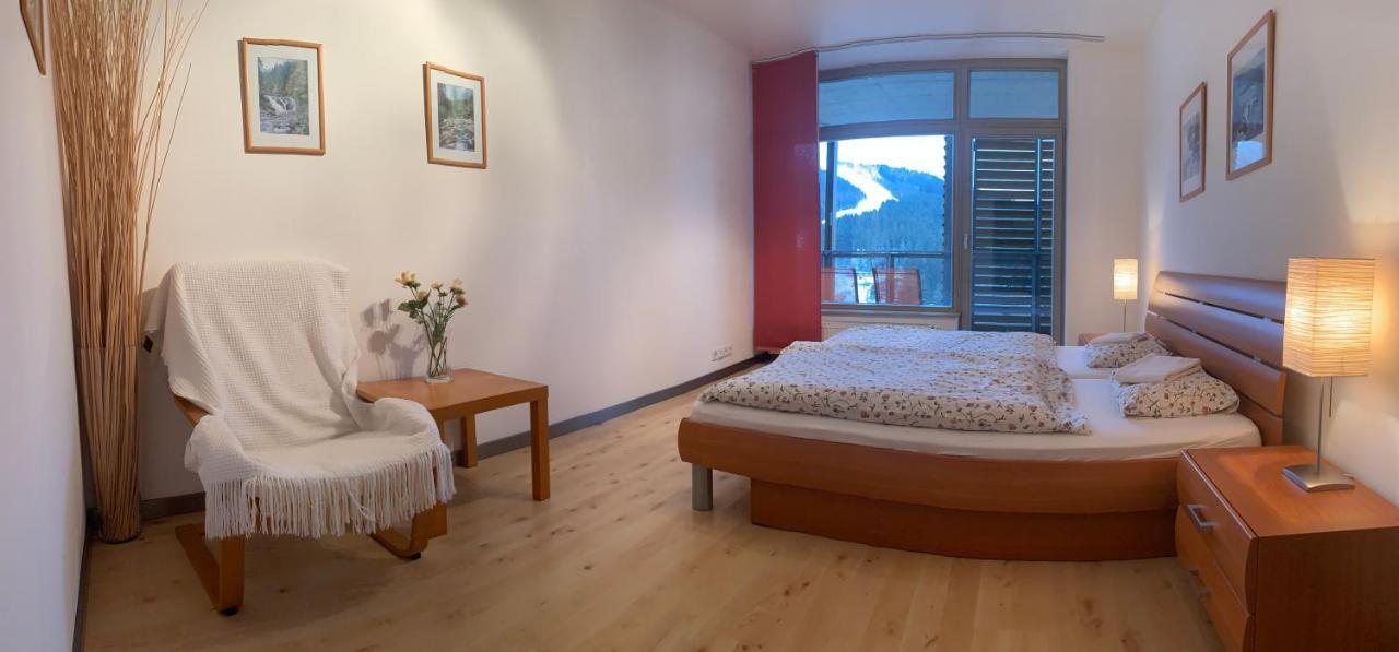 Apartmány Čertovka Harrachov Kültér fotó